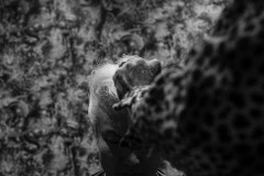 LINE_ALBUM_20250603_250603_388