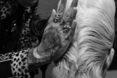 LINE_ALBUM_20250603_250603_420