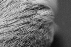 LINE_ALBUM_20250603_250603_483