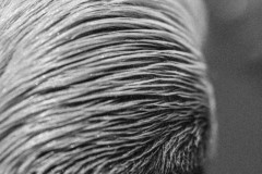 LINE_ALBUM_20250603_250603_493