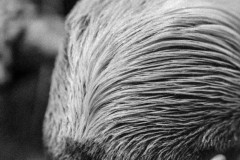 LINE_ALBUM_20250603_250603_498