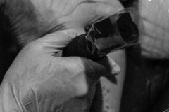 LINE_ALBUM_20250603_250603_525